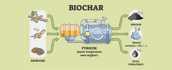 SHS – acceptabilité sociale – méthanisation – biochars – perception sociale - biogaz